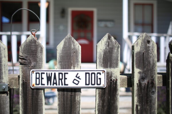 Edinburg, Texas Dog Bite Accidents: Seeking Compensation for Medical Expenses